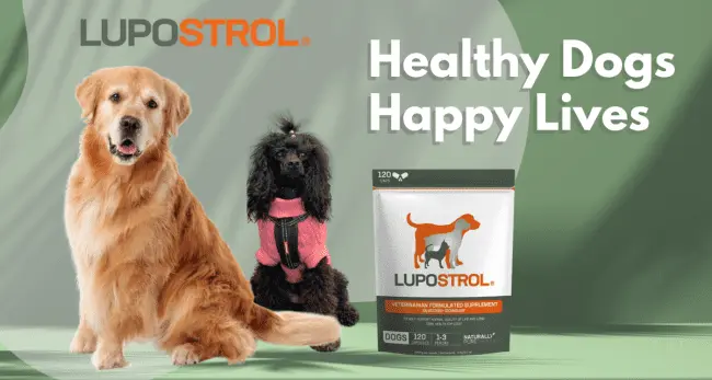 Lupostrol