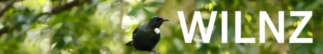 WILNZ