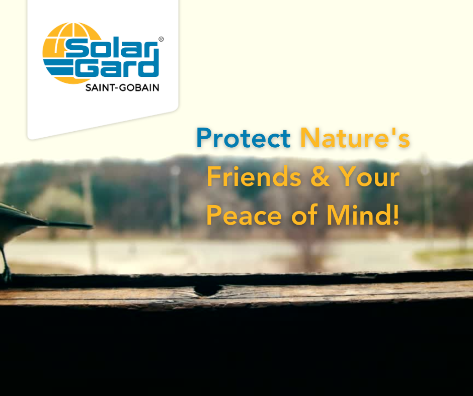 SolarGard Video files (1)